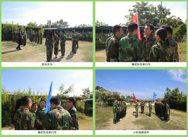 银河集团新能源_厚积薄发_赢胜2021(图4)