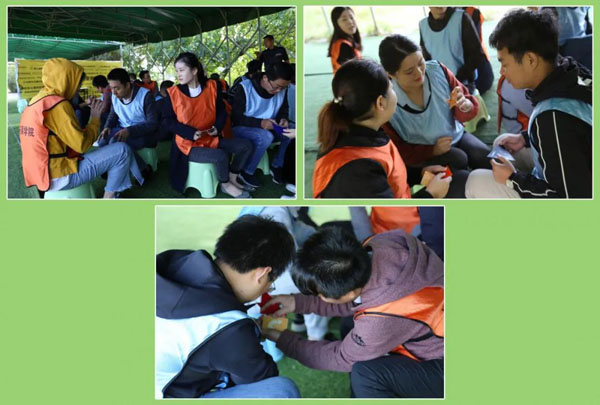 银河集团新能源_厚积薄发_赢胜2021(图16)