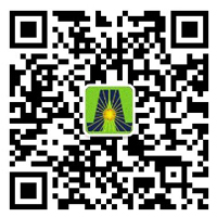 深圳市银河集团新能源有限公司